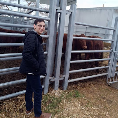 El Instituto del Templo podría haber encontrado al joven para liderar la ceremonia de la vaca roja